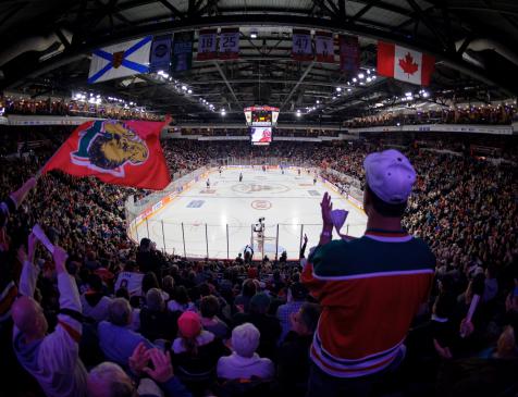 2019 Memorial Cup at Scotiabank Centre. Photo: James Bennett