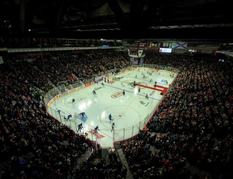 A packed crowds cheers on our hometown Mooseheads at the 2019 Memorial Cup at Scotiabank Centre. Photo: James Bennett