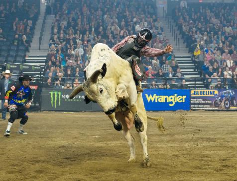 Professional Bull Riding 2019 at Scotiabank Centre