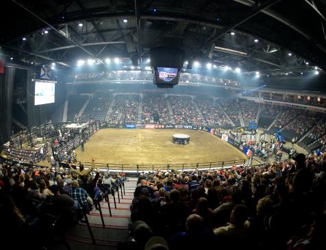 The Professional Bull Riders circuit transforms Scotiabank Centre during their tour stop on the east coast. 
